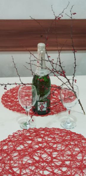 Apartman PIKOLO Zlatibor